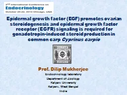 Prof. Dilip Mukherjee Endocrinology laboratory
