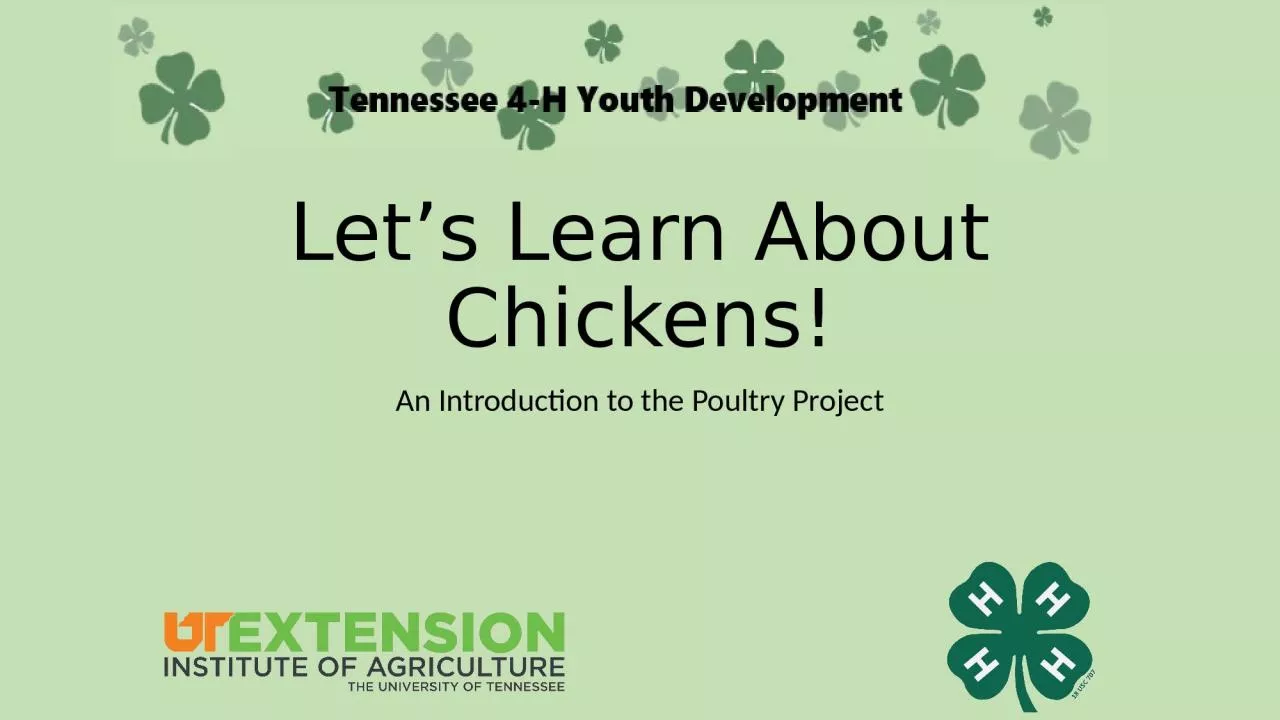 PPT-Let’s Learn About Chickens!