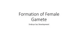 PPT-Formation of Female Gamete