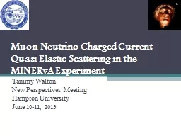 Muon  Neutrino Charged Current Quasi Elastic Scattering in the