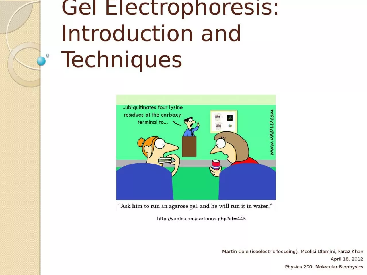 Gel Electrophoresis: Introduction and Techniques