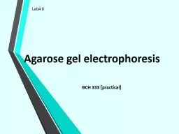 Agarose gel electrophoresis