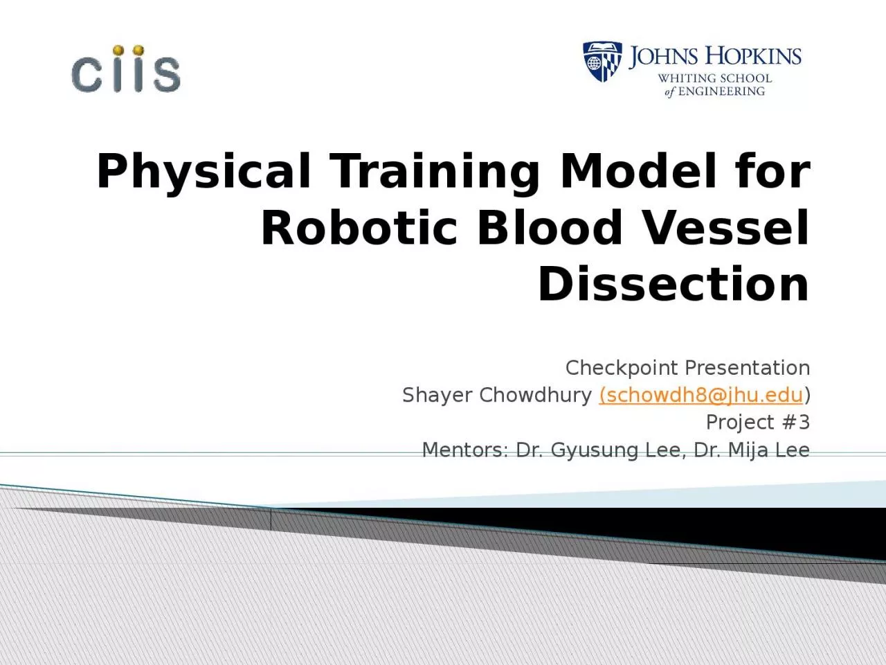 PPT-Physical Training Model for Robotic Blood Vessel Dissection