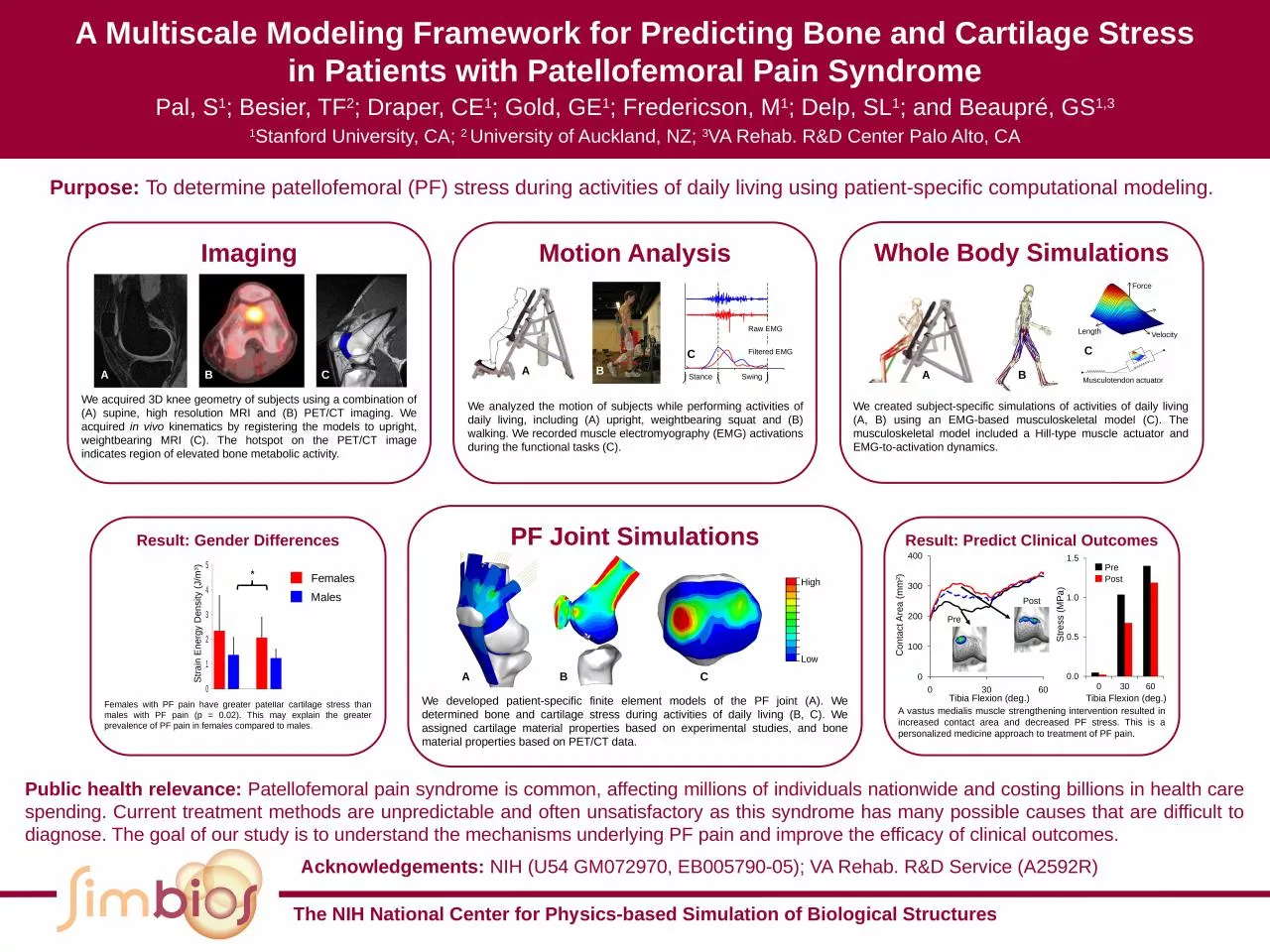 PPT-The NIH National Center for Physics-based Simulation of Biological Structures