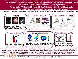 The NIH National Center for Physics-based Simulation of Biological Structures