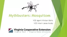 Mythbusters :  Mosquitoes