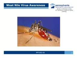 PPT-West Nile Virus Awareness