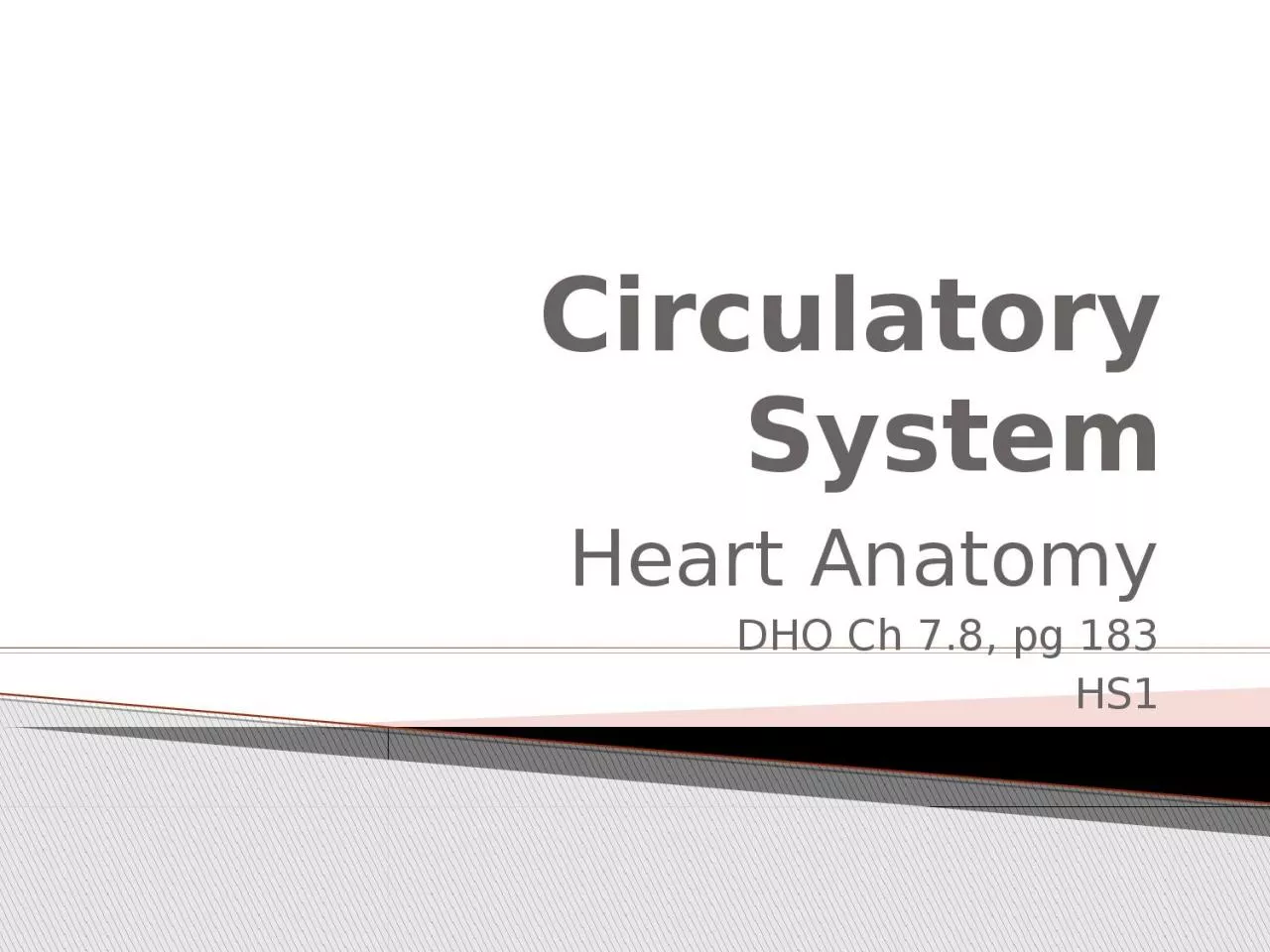 PPT-Circulatory System Heart Anatomy