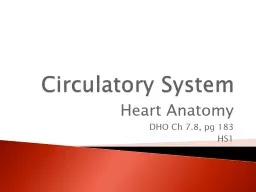 Circulatory System Heart Anatomy