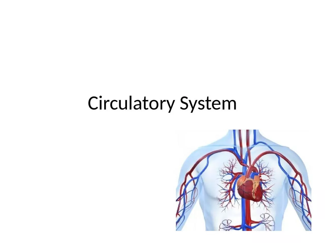 PPT-Circulatory System Structures and Functions