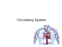 Circulatory System Structures and Functions