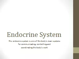 Endocrine System The endocrine system is one of the body’s main systems