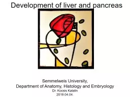 Development of liver and pancreas