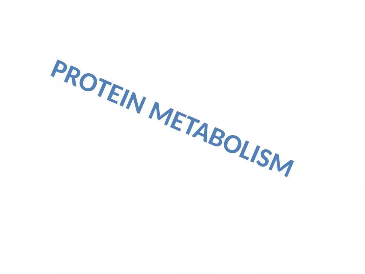 Protein Metabolism  The