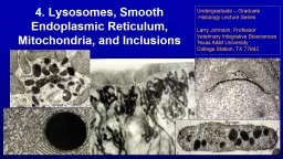 4. Lysosomes , Smooth Endoplasmic Reticulum, Mitochondria, and Inclusions