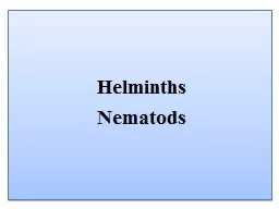 Helminths N ematods 1   Ascaris