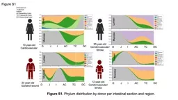 Figure S1 Figure S1.  Phylum distribution by donor per intestinal section and region.