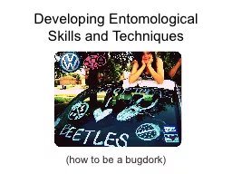 Developing Entomological Skills and Techniques