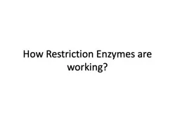 How   Restriction  Enzymes