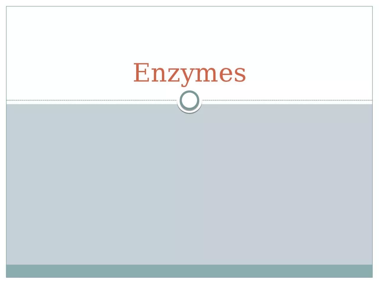 Enzymes T he body is always looking for ways to save energy!