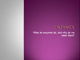 Enzymes What do enzymes do, and why do we need them?