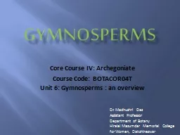 Gymnosperms Core  Course IV: