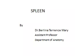 SPLEEN  			By 					 Dr.Berlina