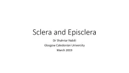 Sclera and Episclera Dr Shahriar Nabili