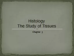 PPT-Chapter 5 Histology The Study of Tissues