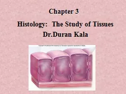 Chapter 3  Histology:  The Study of Tissues
