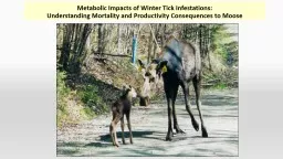 Metabolic  Impacts of Winter Tick Infestations:
