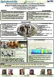 Research projects on Precision Livestock