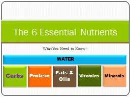 What You Need to Know! The 6 Essential Nutrients