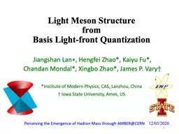 Light Meson Structure from