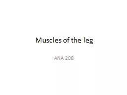 Muscles of  the leg ANA 208