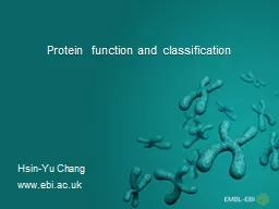 Protein function and classification