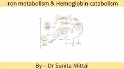 Iron  metabolism &  Hemoglobin catabolism