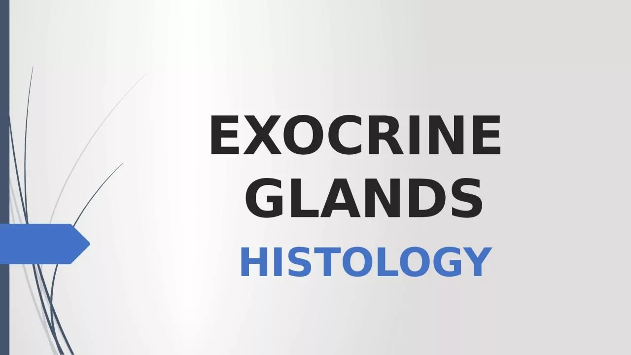 PPT-EXOCRINE GLANDS HISTOLOGY