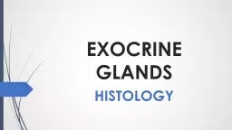 EXOCRINE  GLANDS HISTOLOGY
