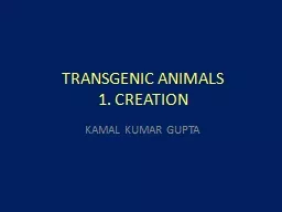 TRANSGENIC ANIMALS 1. CREATION