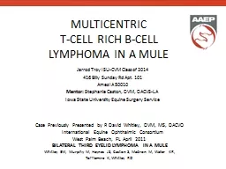 MULTICENTRIC T-CELL RICH B-CELL LYMPHOMA IN A MULE