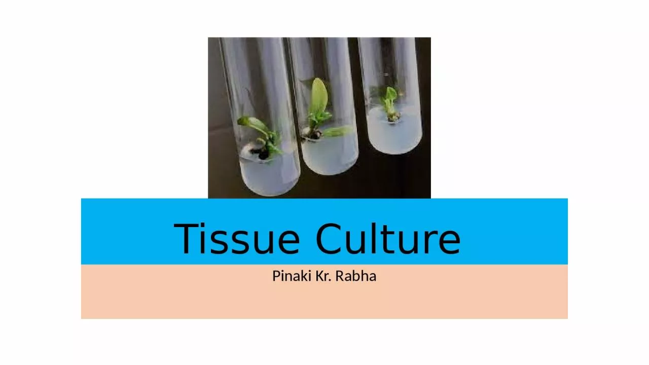 PPT-Tissue Culture Pinaki Kr. Rabha