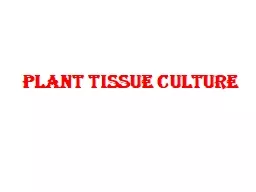 Plant tissue culture PLANT TISSUE CULTURE