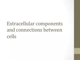 Extracellular components and connections between cells