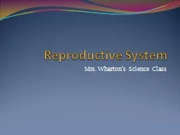 Reproductive System Mrs. Wharton’s Science Class
