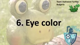6.   Eye color Team Awkward Turtles