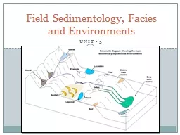 UNIT - 5 Field Sedimentology,