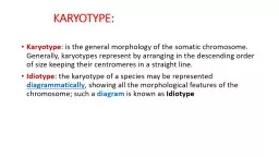 KARYOTYPE:   Karyotype