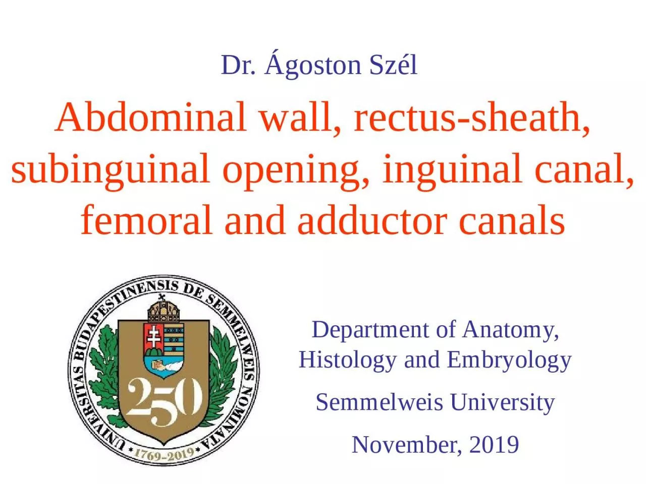 Abdominal   wall ,  rectus-sheath