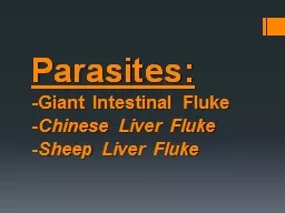 Parasites: -Giant Intestinal Fluke